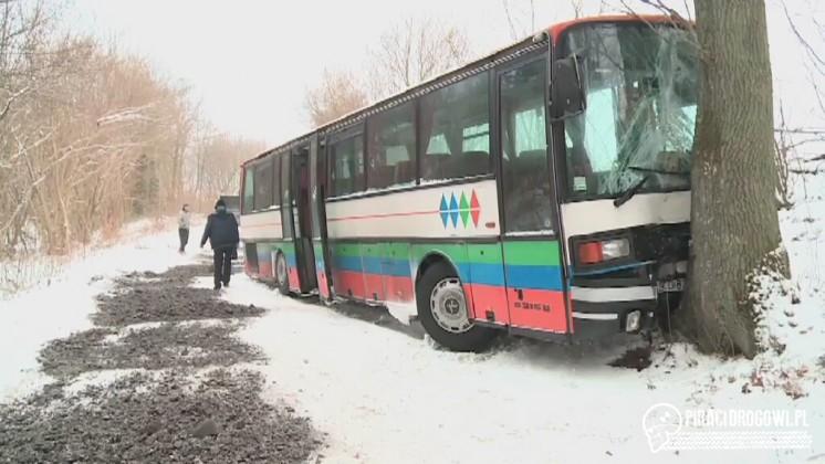 Autobus szkolny wjechał w drzewo