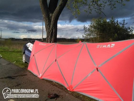 Kierowca nie miał szans po wbiciu się alfy w drzewo