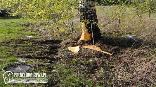 Pijana matka wioząc dwójkę dzieci uderzyła w drzewo