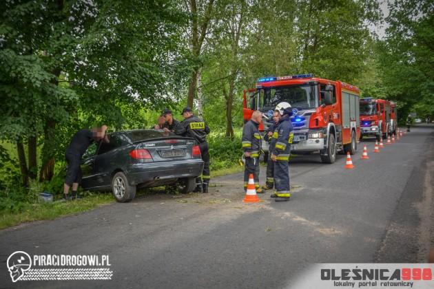Kobieta na promilach uderzyła w drzewo