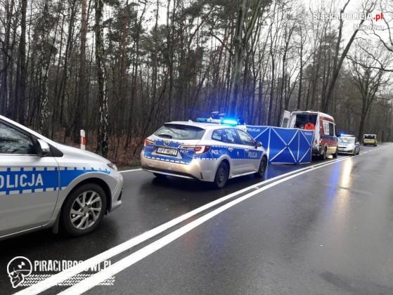 45-latka uderzyła volkswagenem w drzewo. W wypadku zginęła jej 69-letnia matka.