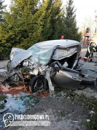 Wypadek lotniczy na rondzie. Samochód skosił drzewo kilka metrów nad ziemią!