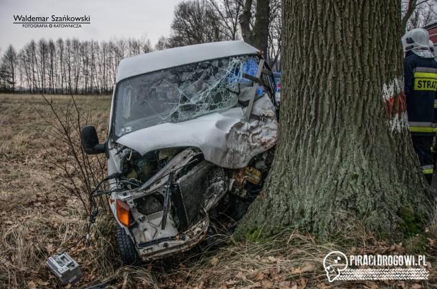 Bus rozbił się na drzewie pod Jędrzychowem. Kierowca został zakleszczony.
