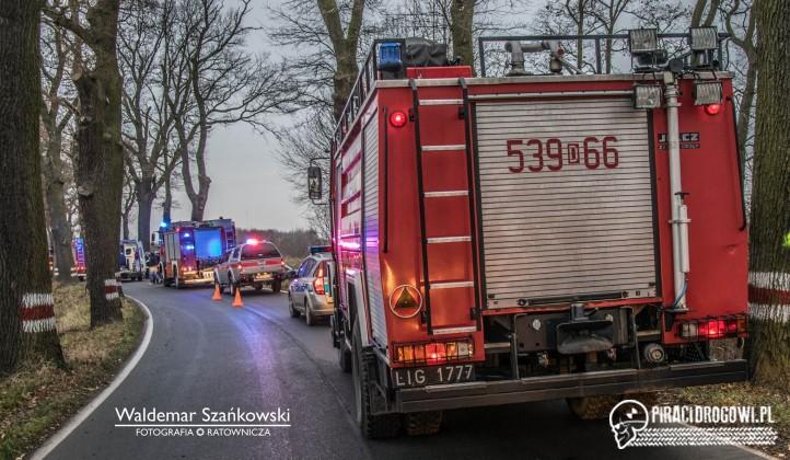 Bus rozbił się na drzewie pod Jędrzychowem. Kierowca został zakleszczony.