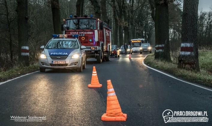 Bus rozbił się na drzewie pod Jędrzychowem. Kierowca został zakleszczony.